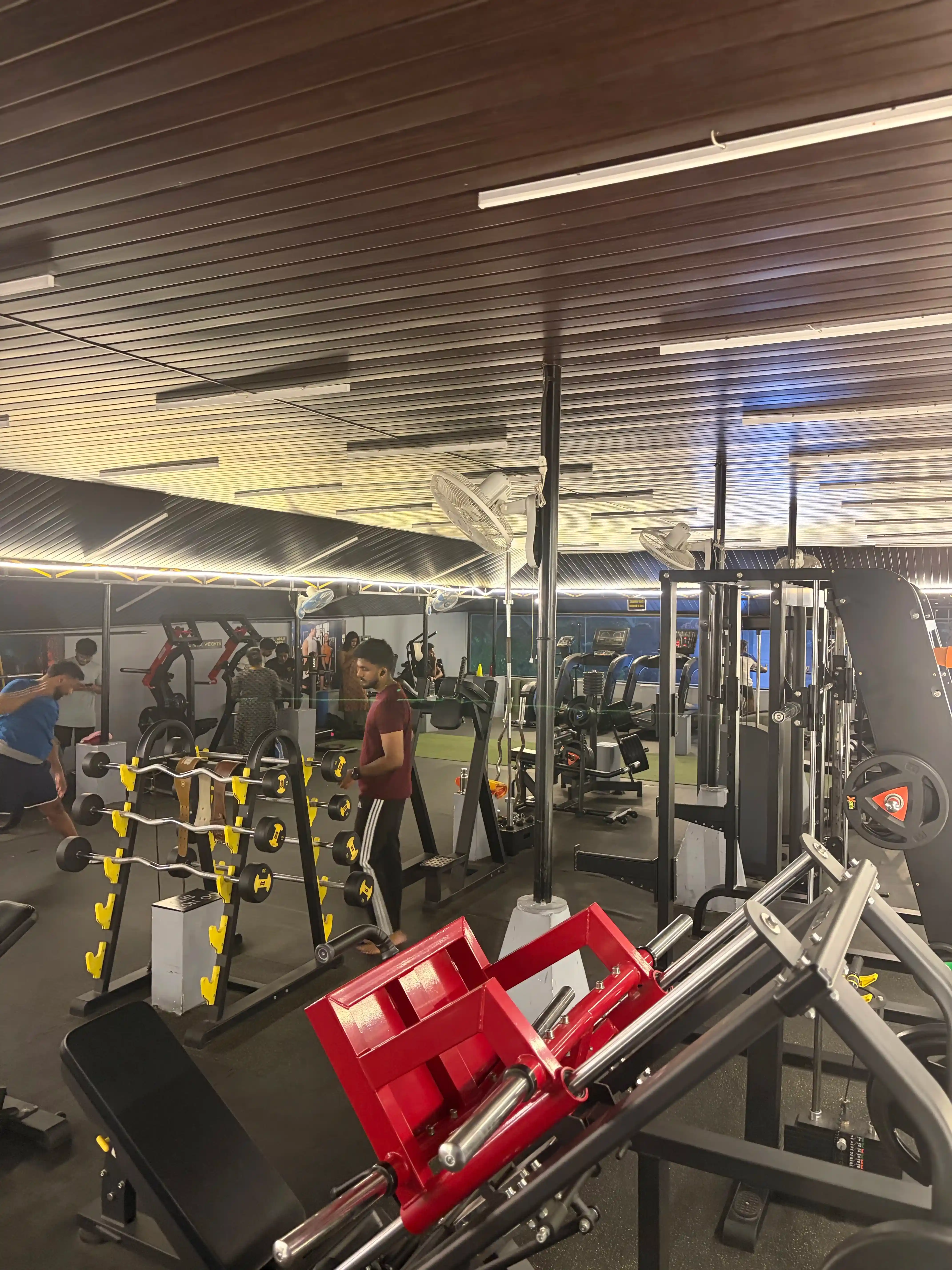 lifestyle fitness
